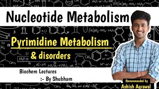 Pyrimidine Metabolism amp Disorder  Nucleotide Metabolism  Biochemistry Lectures [upl. by Akerley]