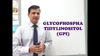 Glycophosphatidylinositol GPI  A Quick Review [upl. by Phail]