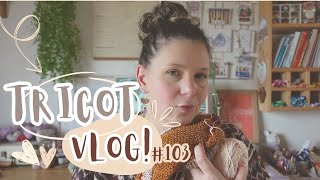 Test Knit châle Oberon et Pigneto Socks  Vlog Tricot 103 [upl. by Kostman]