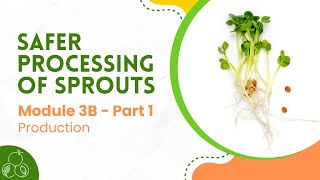 Sprouts Module 3B Sprout Production  Part 1 [upl. by Esiahc224]