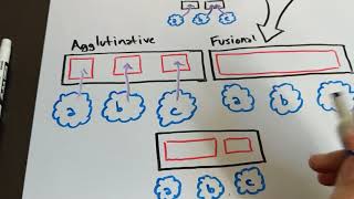 Isolating Synthetic Agglutinative and Fusional [upl. by Semadar]