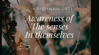 J Krishnamurti  Awareness of the senses in themselves  immersive pointer  piano ALoven [upl. by Kramal]