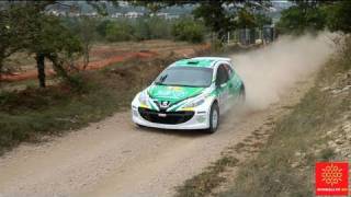 Rallye Terre Des Cardabelles 2010 HD [upl. by Alessandro798]