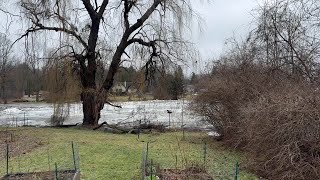 Ice flow in the Grand River [upl. by Halik]