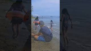 Vacay in Philippines shortvideo ytshorts vacay2024 vacation sea viralvideo [upl. by Ymmat]