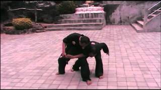 Bakti Negara Pencak Silat techniques [upl. by Zoldi707]