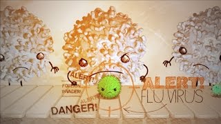 Immunity and Vaccines Explained [upl. by Ilenay]