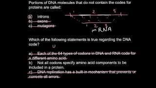 Introns exons and codons [upl. by Ames119]