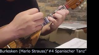 【Mandolin】Burlesken Marlo Strauss “4 Spanischer Tanz” [upl. by Georgia418]