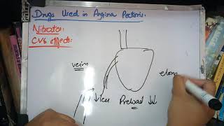 DRUGS USED IN ANGINA PECTORIS with important questionspart 2 CVS pharmacology [upl. by Asilram623]