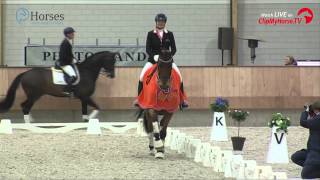 KNHS Indoor Kampioenschap Dressuur  Dutch Champion´s  2014 [upl. by Nerreg]