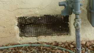 Replace Foundation Vent Screens with Correct Materials  Home Maintenance and Repairs [upl. by Garbe932]