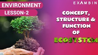 Concept of Ecosystem upsc Abiotic and Biotic factors Crash Course ecology [upl. by Fabrice]