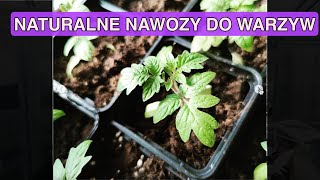 CZYM NAWOĹ»Ä MOJE SADZONKI Naturalne nawozy do warzyw Nawozy ekologiczne Nawozy naturalne [upl. by Ahso]