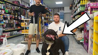 Rottweiler HADES İLE PET SHOP’DAN TASMA ALIŞVERİŞİ YAPTIK [upl. by Rap]