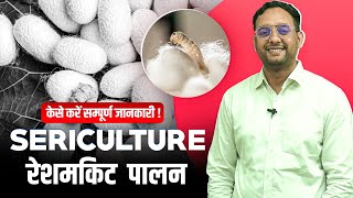 Sericulture  Silkworm Cultivation  सेरीकल्चर  रेशमकीट पालन [upl. by Honora647]