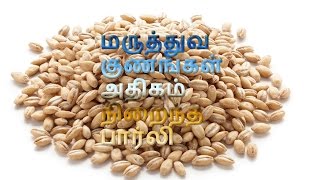 மருத்துவ குணங்கள் அதிகம் நிறைந்த பார்லி Barley Tamil [upl. by Elacsap]