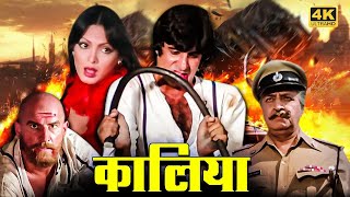 Vintage Amitabh Bachchan Action Movie  Kaalia 1981  Parveen Babi Kader Khan Amjad Khan Pran [upl. by Aelam365]