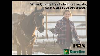 When Quality Hay Is In Short Supply What Can I Feed My Horse [upl. by Yearwood]