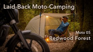 SOLO MOTO CAMPING in Redwood Forest  Svartpilen 701 Seiko Tuna Relaxing [upl. by Shreeves176]