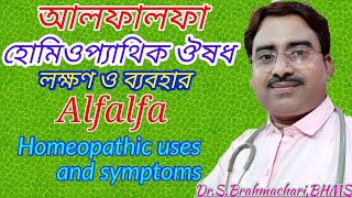 Alfalfa benefits  alfalfa Q  alfalfa homeopathic medicine uses in bengali language [upl. by Werby]