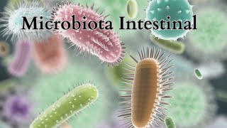 Microbiota Intestinal [upl. by Ahseenak]