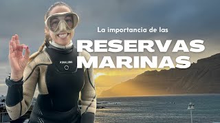 ¿Sirven de algo las Reservas Marinas [upl. by Acirederf]