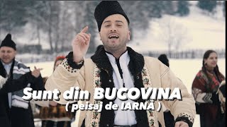 IARNA ❄️ SUNT DIN BUCOVINA 🔴 CAND MA LATRA CAINIIN DRUM  AlexandruBradatan [upl. by Junko]