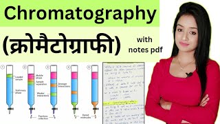 Cell biology L4Chromatography bsc 1st year zoology in Hindi knowledge adda lion batch zoology [upl. by Deadman]