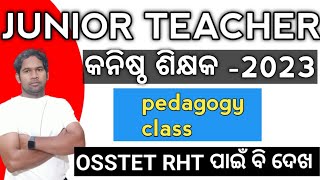 JUNIOR Teacher Pedagogy class  Odia ରେ pedagogy  JT pedagogy  free class SIR ODIA କନିଷ୍ଠ ଶିକ୍ଷକ [upl. by Nirret115]