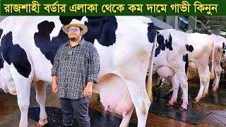 রাজশাহী গোদাগাড়ি থেকে কম দামে গাভী দিচ্ছেন আমের ভাই dairy farm [upl. by Iolenta]