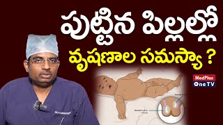 Undescended Testicles Causes  DrVamsi Krishna MedPlusONETV [upl. by Cirle]