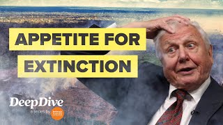 Why David Attenborough is worried about biodiversity loss [upl. by Connolly]