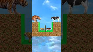 Knowledge vs Money with Cow Tiger Funny Cartoon 3d Animal Game shorts cow tiger animalgame [upl. by Lesirg]