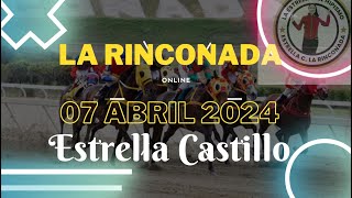 INH La Rinconada Eliminados domingo 07 de Abril 2024 ESTRELLA CASTILLO fijos y batacazos 5y6 [upl. by Sirahc815]