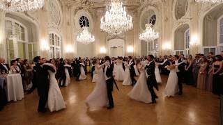 Leoball 2017  Eröffnung durch die Wiener Walzer Formation der Tanzschule Elmayer [upl. by Herrington]