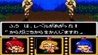 Magic Knight Rayearth 魔法騎士レイアース Forest Maze 23  Game Gear Japanese [upl. by Rozalie221]