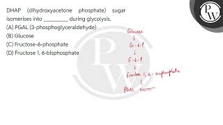 DHAP dihydroxyacetone phosphate sugar isomerises into  during glycolysis [upl. by Michaela]