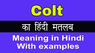 Colt Meaning in HindiColt का अर्थ या मतलब क्या होता है [upl. by Ahsaten965]