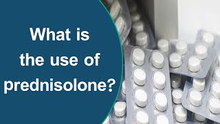 What is the use of prednisolone [upl. by Kellyn956]