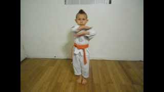 Taegeuk 2 Taegeuk EE Jang orange belt poomsae 6yr old [upl. by Aicilf]