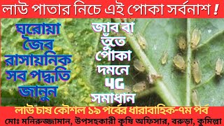 যে ভুলে দমন হয়না জাব পোকা । Get Rid Of Aphid । Organic Insecticide। Foolproof Control And Prevention [upl. by Burt]