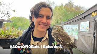 Meeting The Badgers amp LIVE Little Owl  8 Out Of 10 Bats Ep 8 [upl. by Elleinahc282]