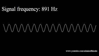 20Hz to 20kHz Human Audio Spectrum [upl. by Brennen177]