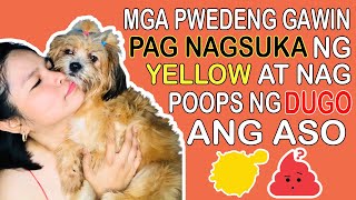 PINAKAMABISANG GAMOT SA ASONG TUMATAE NG DUGO MURANG MURA LANGPART 3 [upl. by Wendalyn]