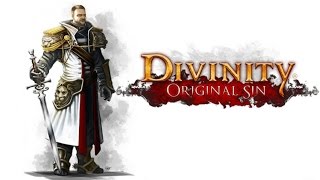 Divinity Original Sin  Vale ou não a pena jogar [upl. by Eeclehc]