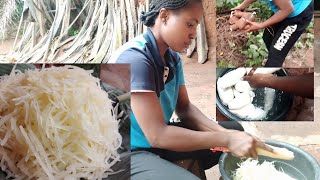 HOW TO MAKE AKPU MMIRIABACHA FROM CASSAVA  AFRICAN SALAD  AFRICAN VILLAGE LIFE [upl. by Bertelli]