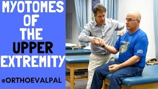 Myotomes of the Upper Extremity with OEP [upl. by Peck464]