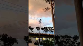 Wow Nature😱কি সুন্দর গ্রামের দৃশ্য😮 nature viralshorts viewpleasesubscribe [upl. by Nesrac]