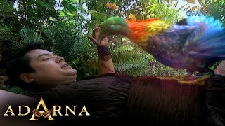 Adarna Full Episode 64 [upl. by Joerg]